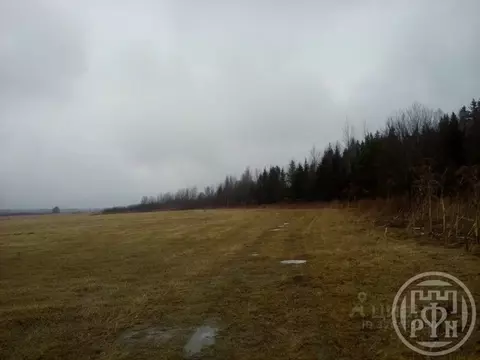 Участок в Ленинградская область, Выборгский район, пос. Гончарово ...