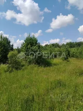 Участок в Тюменская область, Нижнетавдинский муниципальный округ, д. ...