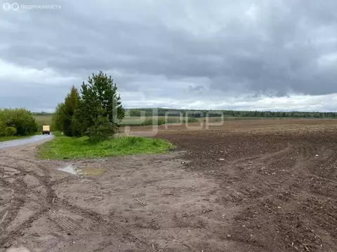 Участок в Московская область, муниципальный округ Истра, деревня ...