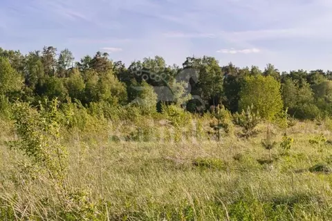Участок в Московская область, Одинцовский городской округ, с. ...