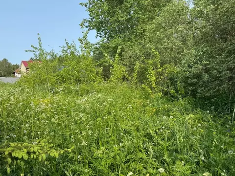 Участок в Московская область, Богородский городской округ, д. Починки  ...