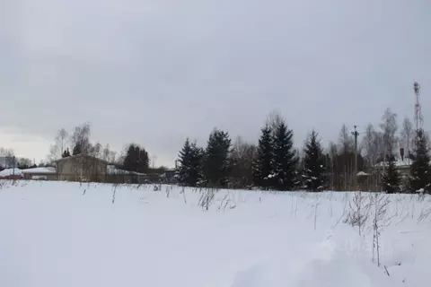 Участок в Московская область, Шаховская муниципальный округ, с. Середа ...