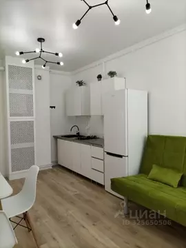 1-к кв. Тульская область, Тула Петровский квартал мкр, ул. Летчика ...