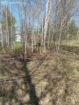 Участок в Свердловская область, Белоярский муниципальный округ, ...