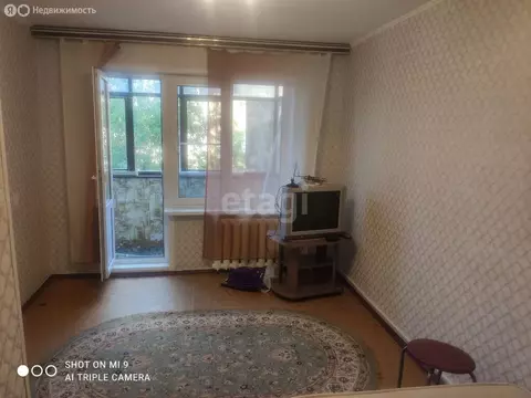 1-комнатная квартира: Калуга, 1-й переулок Пестеля, 30 (29.3 м)