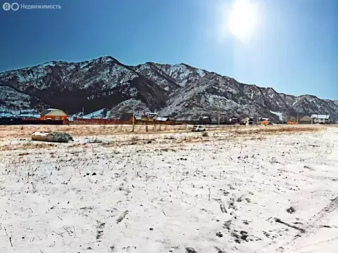 Участок в Чемальский район, село Чемал (12 м)