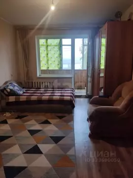 1-к кв. Воронежская область, Воронеж наб. Авиастроителей, 24 (37.4 м)