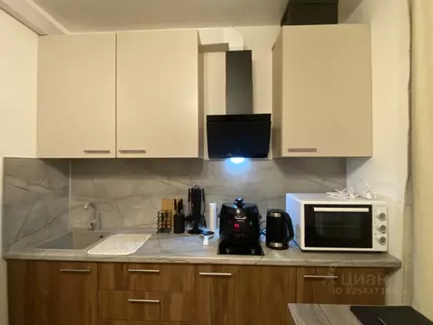 Студия Санкт-Петербург пос. Шушары, просп. Старорусский, 5к1 (21.4 м)