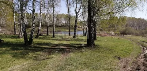 Участок в Новосибирская область, Новосибирский район, Каменский ...