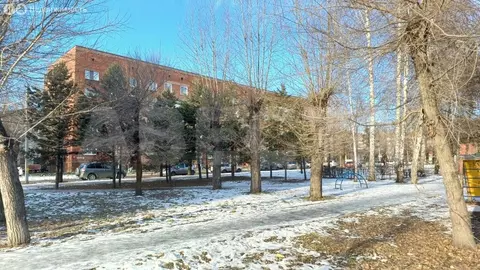 1-комнатная квартира: Омск, посёлок Кордный, 1-я Шинная улица, 46 ...