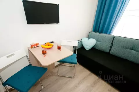 Студия Санкт-Петербург Московский просп., 138 (13.0 м)