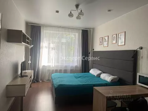 Студия Санкт-Петербург ул. Савушкина, 104 (26.3 м)