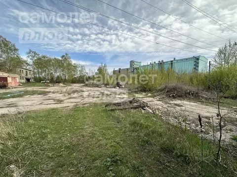 Участок в Курская область, Золотухино муниципальное образование, ...