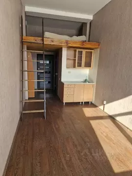 Студия Алтайский край, Бийск Иркутская ул., 1/7 (20.5 м)