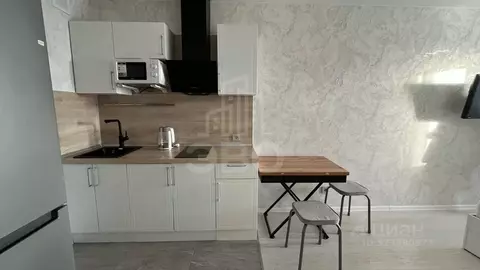 Студия Санкт-Петербург Заневский просп., 42 (25.0 м)