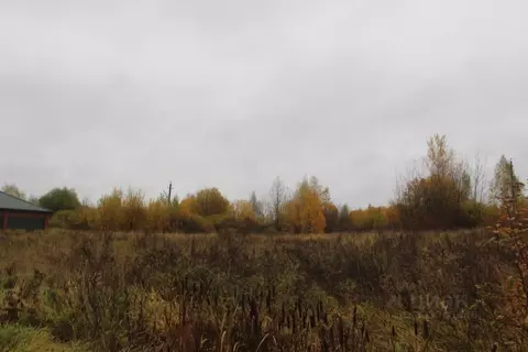 Участок в Московская область, Шаховская муниципальный округ, д. ...