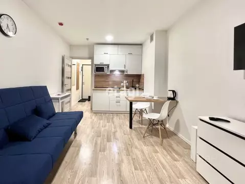 Студия Санкт-Петербург дор. Муринская, 27к2 (21.0 м)