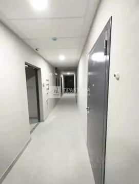 Студия Москва пос. Коммунарка, ул. Фитаревская, 6 (28.0 м)