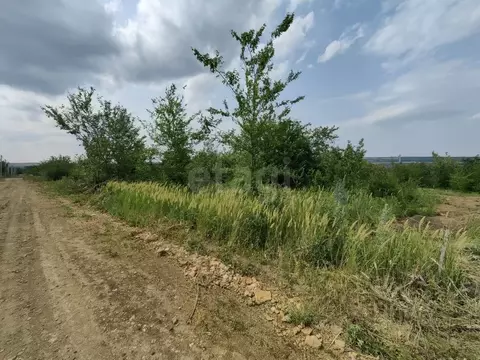 Участок в Ростовская область, Родионово-Несветайский район, ...