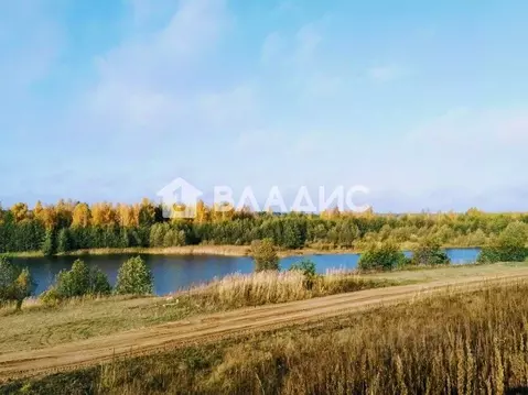 Участок в Владимирская область, Судогодский муниципальный округ, д. ...
