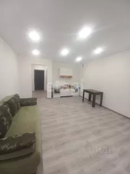 Студия Амурская область, Благовещенский район, с. Чигири ул. Красивая, ...