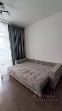 Студия Санкт-Петербург ул. Летчика Лихолетова, 14к3 (29.8 м)