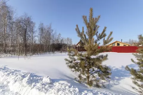 Участок в Тюменская область, Тюмень ул. Изобильная (6.45 сот.)