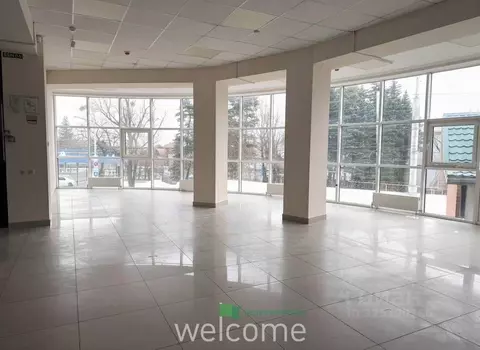 Помещение свободного назначения в Ставропольский край, Ставрополь ул. ...