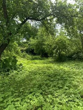 Участок в Калужская область, Калуга Московская ул. (7.72 сот.)