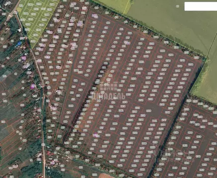 Участок в Воронежская область, Хохольский район, с. Новогремяченское ...