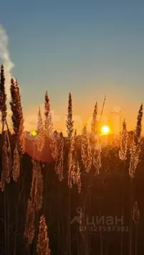 Участок в Тюменская область, Нижнетавдинский муниципальный округ, ...