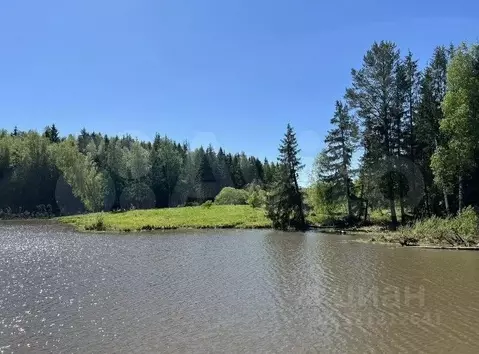 Участок в Калужская область, Боровский муниципальный округ, с. Ворсино ...