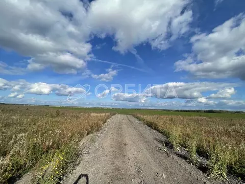 Участок в Тюменская область, Тюменский муниципальный округ, д. ...