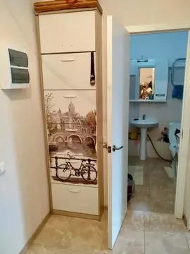 1-к кв. Московская область, Ленинский городской округ, Мисайлово пгт, ...