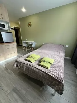 Студия Московская область, Егорьевск Огородная ул., 10 (18.0 м)