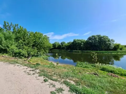 Участок в Воронежская область, Рамонский район, с. Карачун ...