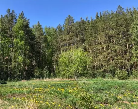 Участок в Свердловская область, Каменский муниципальный округ, д. ...