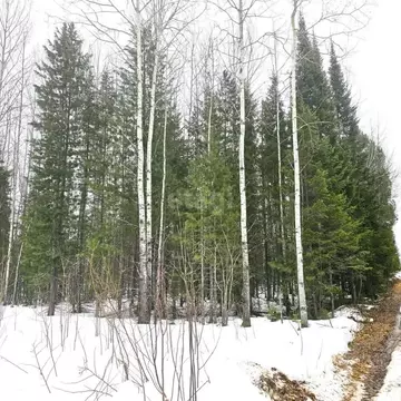 Участок в Ханты-Мансийский АО, Ханты-Мансийск Здоровье СОТ,  (13.8 ...