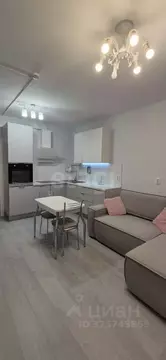 2-к кв. Пермский край, Пермь Екатерининская ул., 177А (52.4 м)