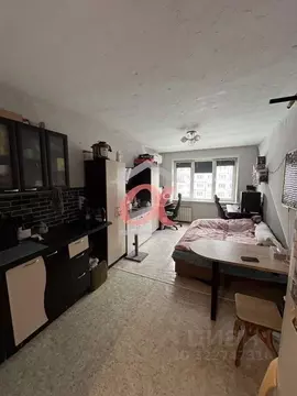 Студия Кемеровская область, Кемерово просп. Ленина, 135б (23.0 м)