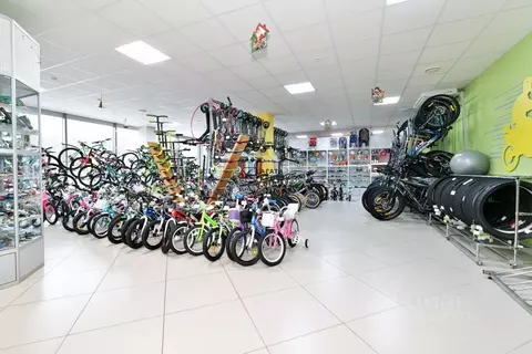 Помещение свободного назначения в Московская область, Павловский Посад ...