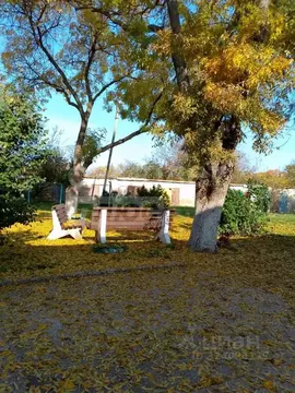 1-к кв. Севастополь с. Осипенко, ул. Сухий, 1 (30.0 м)