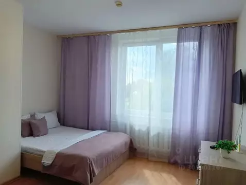 Студия Псковская область, Псков Гражданская ул., 27 (30.0 м)