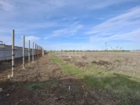 Участок в Крым, Сакский район, Ореховское с/пос, с. Михайловка  (50.0 ...