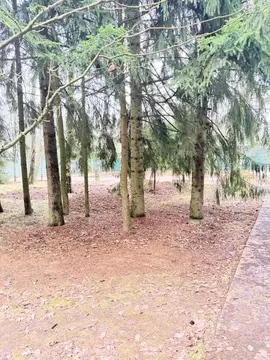 Участок в Московская область, Одинцовский городской округ, Жаворонок ...