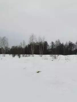 Участок в Московская область, Орехово-Зуевский городской округ, д. ...