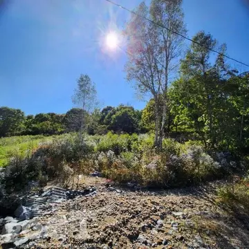 Участок в Приморский край, Надеждинский район, пос. Тавричанка  (10.0 ...