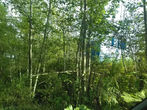 Участок в Сахалинская область, Южно-Сахалинск Восток СНТ, ул. ...