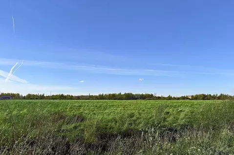 Участок в Санкт-Петербург, Санкт-Петербург, Петергоф ш. Ольгинское, ...