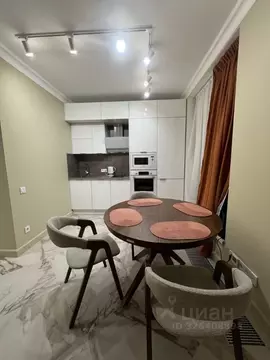 Студия Санкт-Петербург ул. Челюскина, 8 (33.0 м)